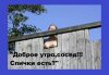 Клуб Ниссан Террано | Форум Terrano-Club.Ru | Фото: IMG-f463b7bb05d9fcc83e2a71efd1733711-V.jpg