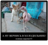 Клуб Ниссан Террано | Форум Terrano-Club.Ru | Фото: 1.png