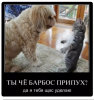 Клуб Ниссан Террано | Форум Terrano-Club.Ru | Фото: 2.png