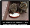Клуб Ниссан Террано | Форум Terrano-Club.Ru | Фото: 3.png