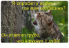 Клуб Ниссан Террано | Форум Terrano-Club.Ru | Фото: 2.png