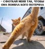 Клуб Ниссан Террано | Форум Terrano-Club.Ru | Фото: 15936254.jpg