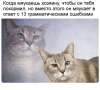 Клуб Ниссан Террано | Форум Terrano-Club.Ru | Фото: 1.png