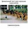 Клуб Ниссан Террано | Форум Terrano-Club.Ru | Фото: 1.png