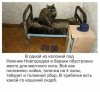 Клуб Ниссан Террано | Форум Terrano-Club.Ru | Фото: 1.png