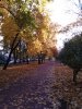 Клуб Ниссан Террано | Форум Terrano-Club.Ru | Фото: IMG_20211004_082426_resize_64.jpg