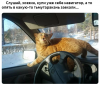 Клуб Ниссан Террано | Форум Terrano-Club.Ru | Фото: 1.png