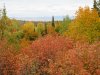 Клуб Ниссан Террано | Форум Terrano-Club.Ru | Фото: IMG_0054.JPG