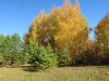 Клуб Ниссан Террано | Форум Terrano-Club.Ru | Фото: IMG_0061.JPG