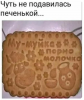 Клуб Ниссан Террано | Форум Terrano-Club.Ru | Фото: 1.png