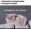 Клуб Ниссан Террано | Форум Terrano-Club.Ru | Фото: 16044218.jpg