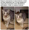 Клуб Ниссан Террано | Форум Terrano-Club.Ru | Фото: 1.png