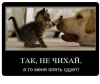 Клуб Ниссан Террано | Форум Terrano-Club.Ru | Фото: 2.png