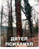 Клуб Ниссан Террано | Форум Terrano-Club.Ru | Фото: 1.png