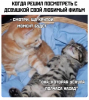Клуб Ниссан Террано | Форум Terrano-Club.Ru | Фото: 5.png
