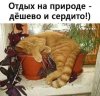 Клуб Ниссан Террано | Форум Terrano-Club.Ru | Фото: FB_IMG_1637001888722.jpg