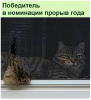 Клуб Ниссан Террано | Форум Terrano-Club.Ru | Фото: 7.png