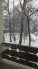 Клуб Ниссан Террано | Форум Terrano-Club.Ru | Фото: IMG-20211112-WA0006.jpeg