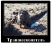 Клуб Ниссан Террано | Форум Terrano-Club.Ru | Фото: 1.png