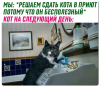 Клуб Ниссан Террано | Форум Terrano-Club.Ru | Фото: 3.png