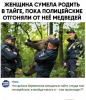 Клуб Ниссан Террано | Форум Terrano-Club.Ru | Фото: 5.png