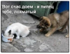 Клуб Ниссан Террано | Форум Terrano-Club.Ru | Фото: 1.png
