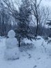 Клуб Ниссан Террано | Форум Terrano-Club.Ru | Фото: IMG_20211205_131838_resize_49.jpg