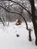 Клуб Ниссан Террано | Форум Terrano-Club.Ru | Фото: IMG_20211205_131906_resize_75.jpg