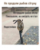 Клуб Ниссан Террано | Форум Terrano-Club.Ru | Фото: 1.png
