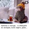 Клуб Ниссан Террано | Форум Terrano-Club.Ru | Фото: FB_IMG_1639069469670.jpg