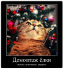 Клуб Ниссан Террано | Форум Terrano-Club.Ru | Фото: 2.png