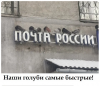 Клуб Ниссан Террано | Форум Terrano-Club.Ru | Фото: 3.png