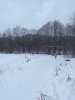 Клуб Ниссан Террано | Форум Terrano-Club.Ru | Фото: IMG_20220104_115519_resize_64.jpg