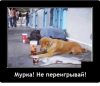 Клуб Ниссан Террано | Форум Terrano-Club.Ru | Фото: 0.png