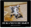 Клуб Ниссан Террано | Форум Terrano-Club.Ru | Фото: 1.png