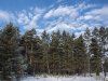 Клуб Ниссан Террано | Форум Terrano-Club.Ru | Фото: 1DSC_6554.jpg