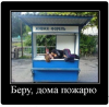Клуб Ниссан Террано | Форум Terrano-Club.Ru | Фото: 1.png