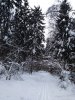 Клуб Ниссан Террано | Форум Terrano-Club.Ru | Фото: IMG_20220116_123756_resize_90.jpg