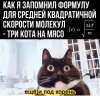Клуб Ниссан Террано | Форум Terrano-Club.Ru | Фото: 16353328.jpg