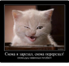 Клуб Ниссан Террано | Форум Terrano-Club.Ru | Фото: 1.png