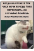 Клуб Ниссан Террано | Форум Terrano-Club.Ru | Фото: 1.png