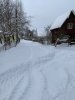 Клуб Ниссан Террано | Форум Terrano-Club.Ru | Фото: IMG-20220130-WA0001.jpg