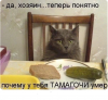 Клуб Ниссан Террано | Форум Terrano-Club.Ru | Фото: 7.png