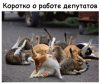Клуб Ниссан Террано | Форум Terrano-Club.Ru | Фото: 4.png