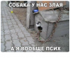 Клуб Ниссан Террано | Форум Terrano-Club.Ru | Фото: 2.png