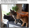 Клуб Ниссан Террано | Форум Terrano-Club.Ru | Фото: 4.png
