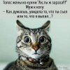 Клуб Ниссан Террано | Форум Terrano-Club.Ru | Фото: FB_IMG_1644766220048.jpg