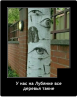 Клуб Ниссан Террано | Форум Terrano-Club.Ru | Фото: 1.png