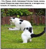 Клуб Ниссан Террано | Форум Terrano-Club.Ru | Фото: 2.png