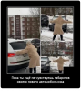 Клуб Ниссан Террано | Форум Terrano-Club.Ru | Фото: 1.png